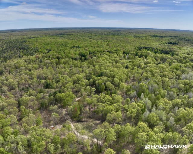V/L S 136th Ave, Rothbury, MI 49452