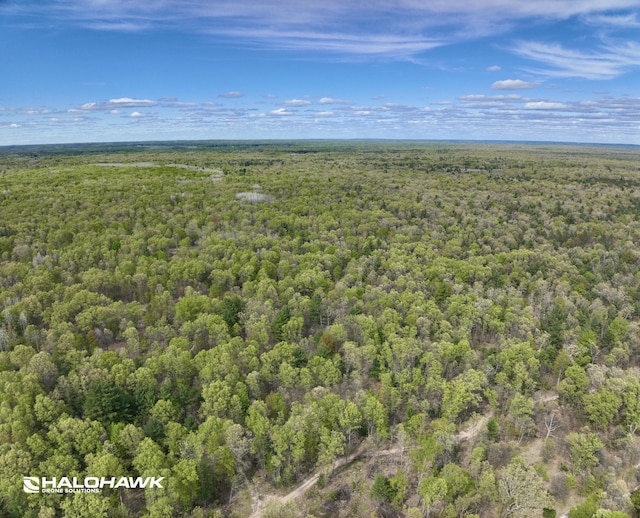 V/L S 136th Ave, Rothbury, MI 49452