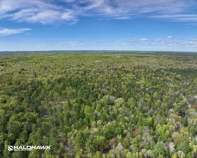 V/L S 136th Ave, Rothbury, MI 49452