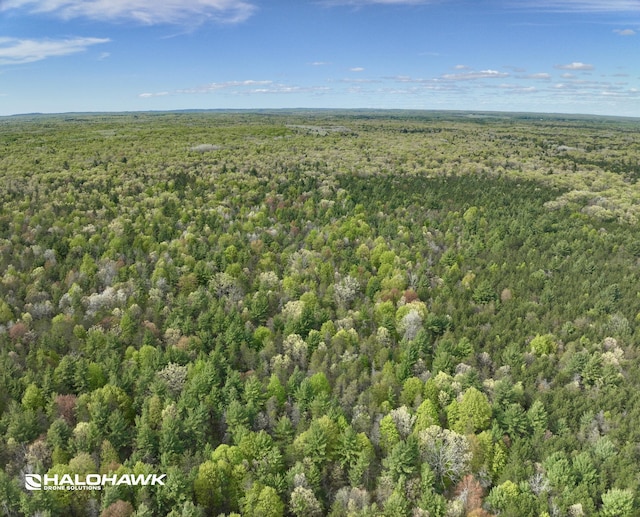 V/L S 136th Ave, Rothbury, MI 49452