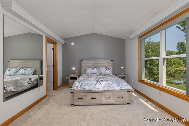 10901 Wildlife Dr, Greenville, MI 48838 - photo 16