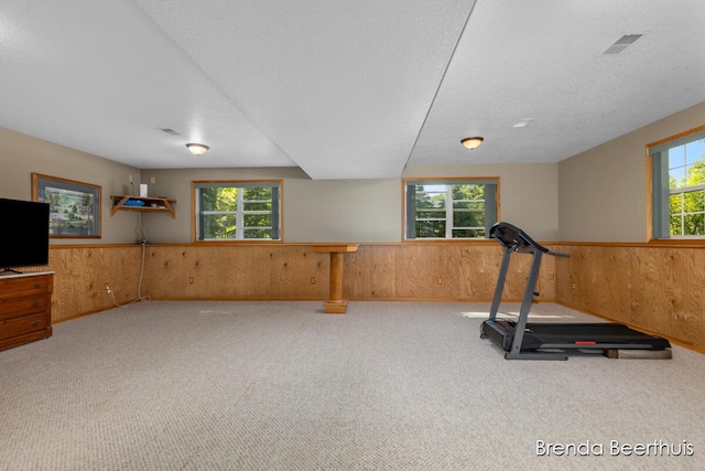 10901 Wildlife Dr, Greenville, MI 48838 - photo 24