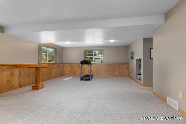 10901 Wildlife Dr, Greenville, MI 48838 - photo 25