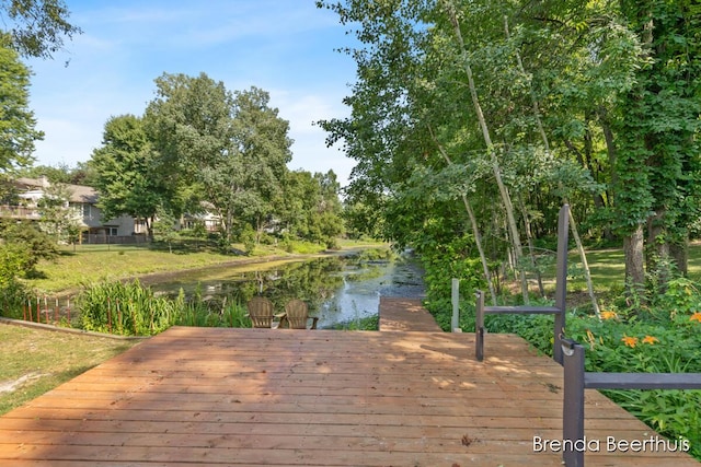 10901 Wildlife Dr, Greenville, MI 48838 - photo 43