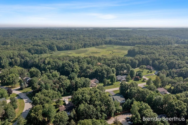 10901 Wildlife Dr, Greenville, MI 48838 - photo 52