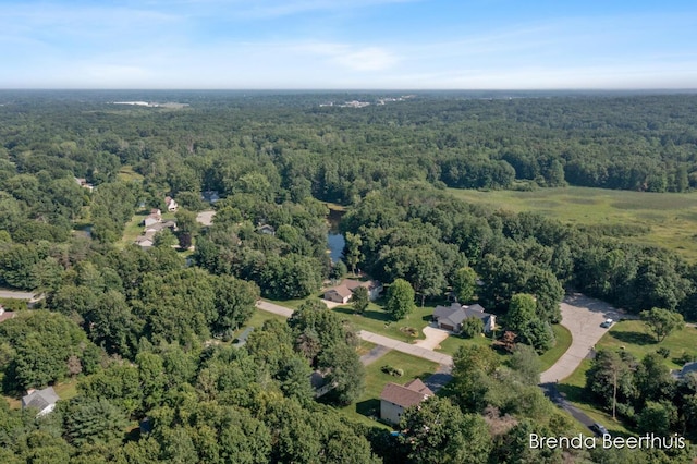 10901 Wildlife Dr, Greenville, MI 48838 - photo 53