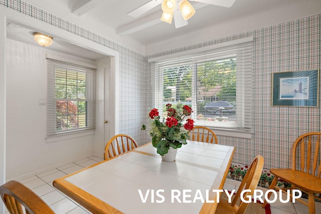 537 Buena Vista Dr, Spring Lake, MI 49456 - dining space with healthy amount of natural light, ceiling fan, and tile patterned flooring