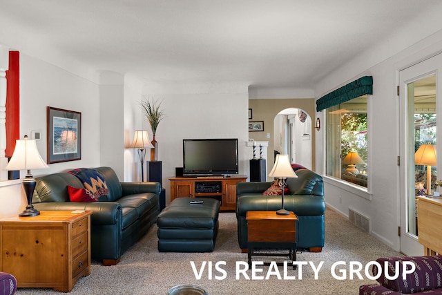 537 Buena Vista Dr, Spring Lake, MI 49456 - carpeted living area featuring arched walkways