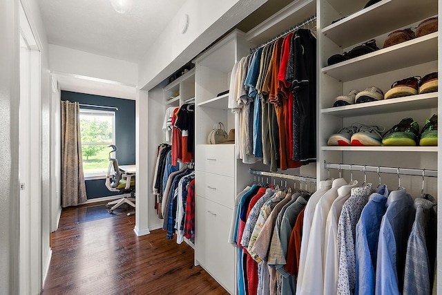 1734 Weatherstone Dr, Ann Arbor, MI 48108 - spacious closet featuring wood finished floors