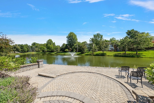 1734 Weatherstone Dr, Ann Arbor, MI 48108 - water view with a tree filled landscape