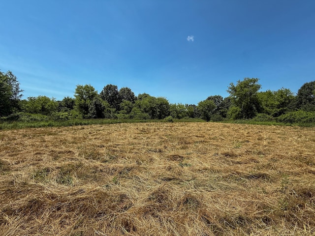 115 W Michigan Ave, Parma, MI 49269 - photo 10