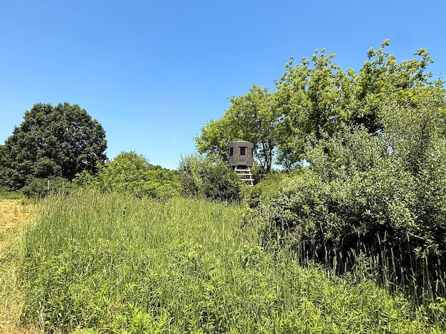 115 W Michigan Ave, Parma, MI 49269 - photo 8