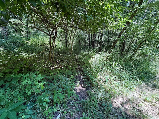 115 W Michigan Ave, Parma, MI 49269 - photo 28