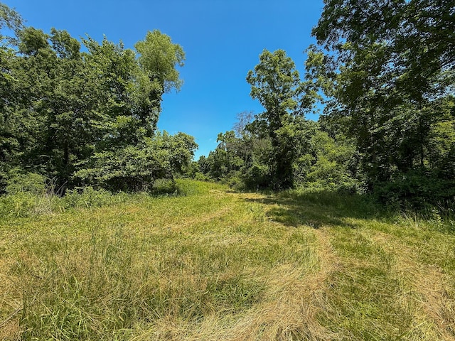 115 W Michigan Ave, Parma, MI 49269 - photo 21