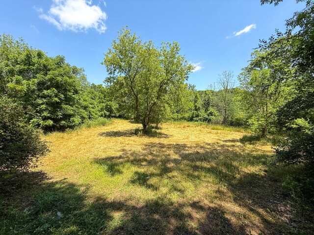 115 W Michigan Ave, Parma, MI 49269 - photo 22