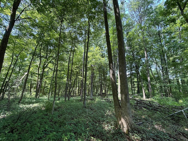 115 W Michigan Ave, Parma, MI 49269 - photo 29