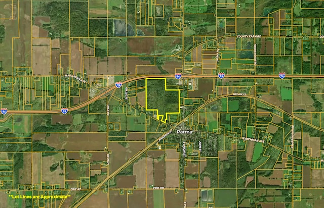 115 W Michigan Ave, Parma, MI 49269 - photo 50