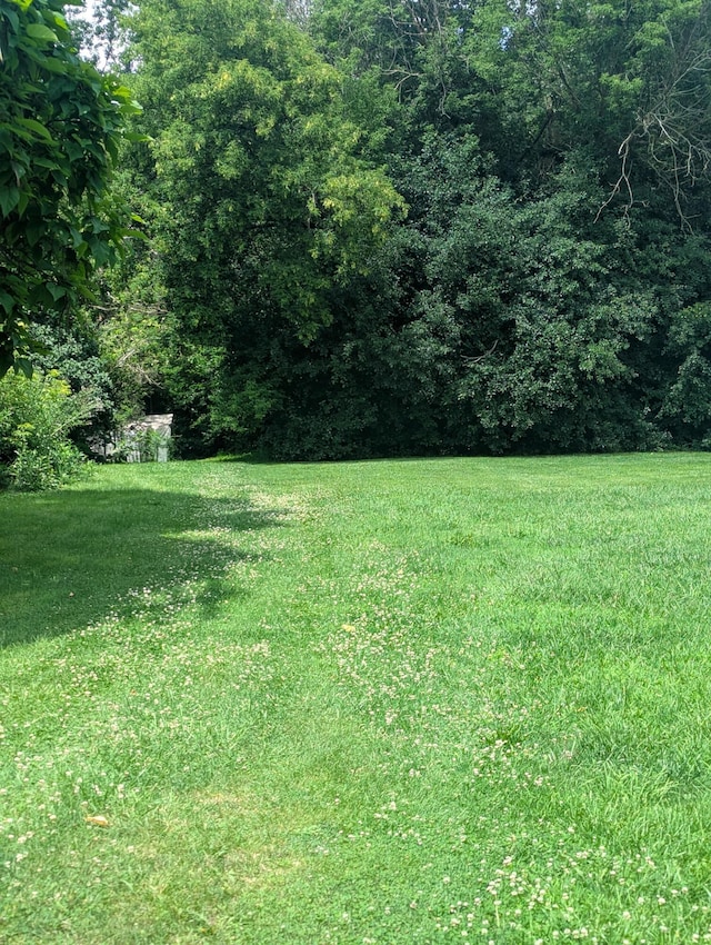 1217 E Frances Rd, Mount Morris, MI 48458 - photo 4