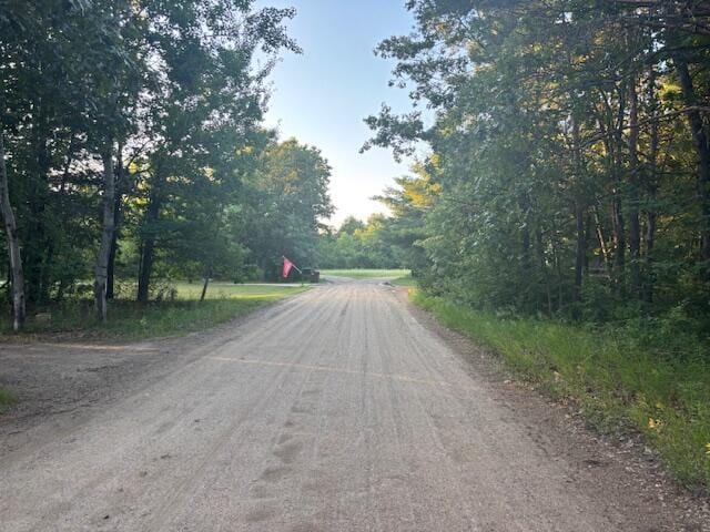5472 Margaret Ave, Newaygo, MI 49337