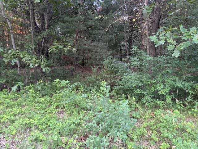 5472 Margaret Ave, Newaygo, MI 49337