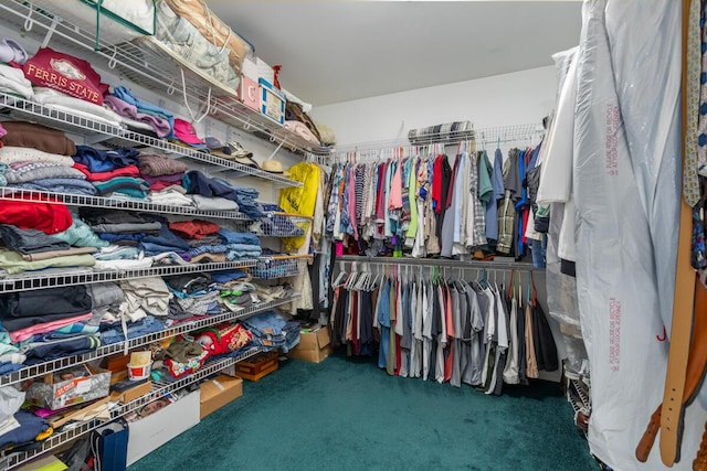 23103 13 Mile Rd, Big Rapids, MI 49307 - walk in closet featuring carpet floors