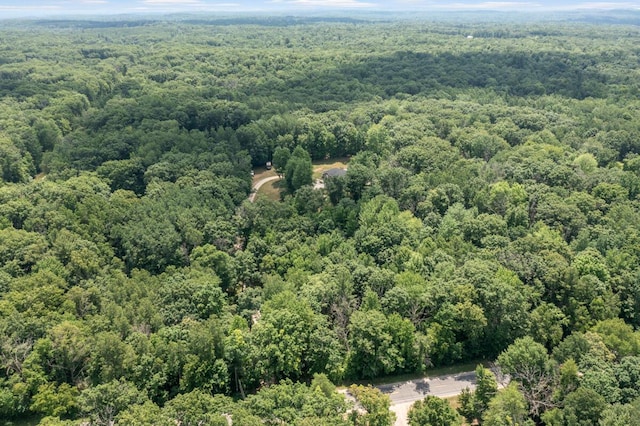 23103 13 Mile Rd, Big Rapids, MI 49307 - bird's eye view of a forest