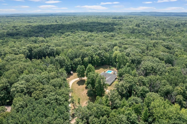 23103 13 Mile Rd, Big Rapids, MI 49307 - drone / aerial view of a heavily wooded area