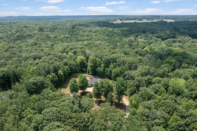 23103 13 Mile Rd, Big Rapids, MI 49307 - bird's eye view of a forest
