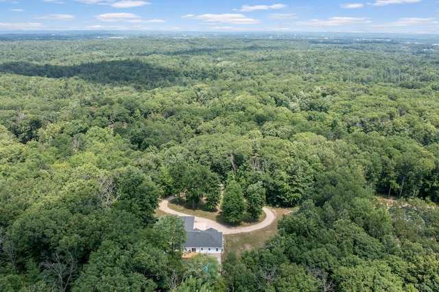 23103 13 Mile Rd, Big Rapids, MI 49307 - view of property location featuring a heavily wooded area