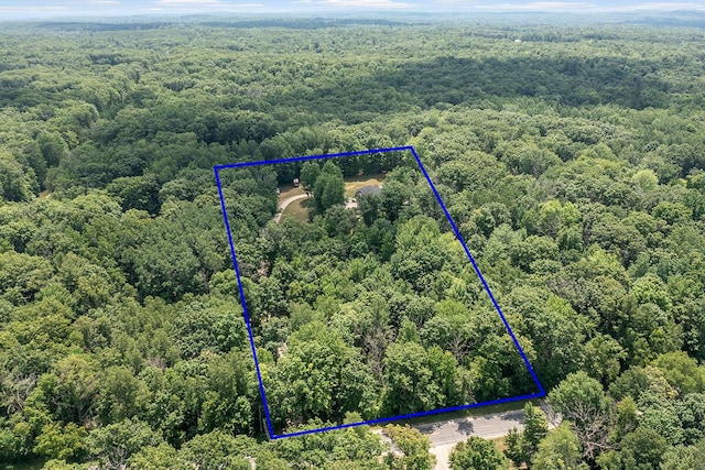 23103 13 Mile Rd, Big Rapids, MI 49307 - aerial overview of property's location with property boundaries highlighted