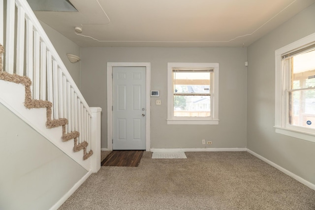 817 Fenimore Ave, Kalamazoo, MI 49048 - photo 8