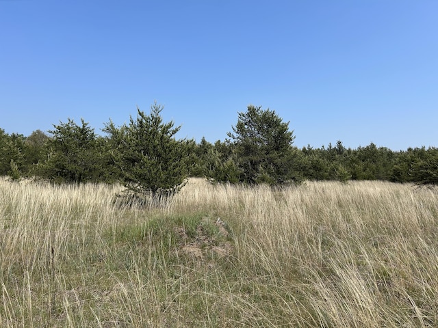 2132 E 56th St, Chase, MI 49623 - photo 29