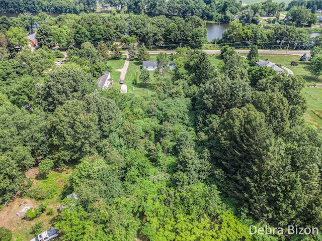 17929 S River Rd, Three Rivers, MI 49093 - aerial overview of property's location