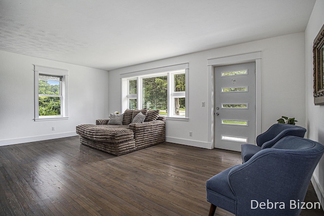 17929 S River Rd, Three Rivers, MI 49093 - living area with dark wood-type flooring