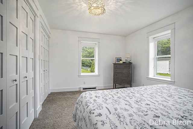 17929 S River Rd, Three Rivers, MI 49093 - bedroom with carpet and multiple windows