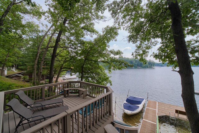 8707 W Canyon Dr, Irons, MI 49644 - photo 4