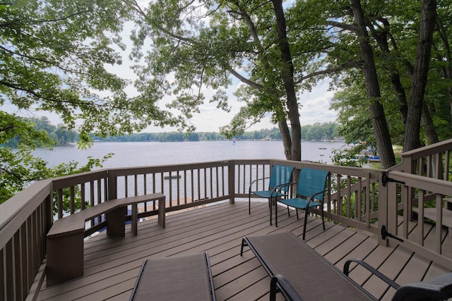 8707 W Canyon Dr, Irons, MI 49644 - photo 3