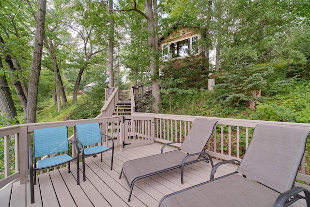 8707 W Canyon Dr, Irons, MI 49644 - photo 61