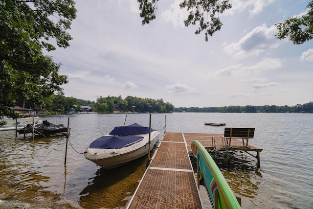 8707 W Canyon Dr, Irons, MI 49644 - photo 5
