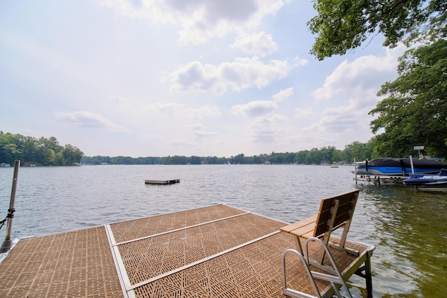 8707 W Canyon Dr, Irons, MI 49644 - photo 50