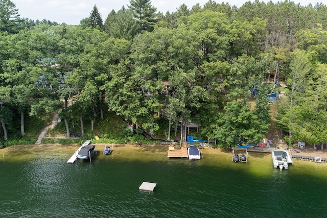 8707 W Canyon Dr, Irons, MI 49644 - photo 65