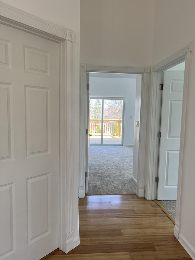 2019 Chalmers Dr, Ann Arbor, MI 48104 - corridor featuring wood finished floors and carpet