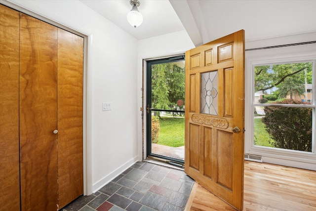 2010 Brampton Ct, Ann Arbor, MI 48103 - entrance foyer featuring plenty of natural light and dark stone finish floors