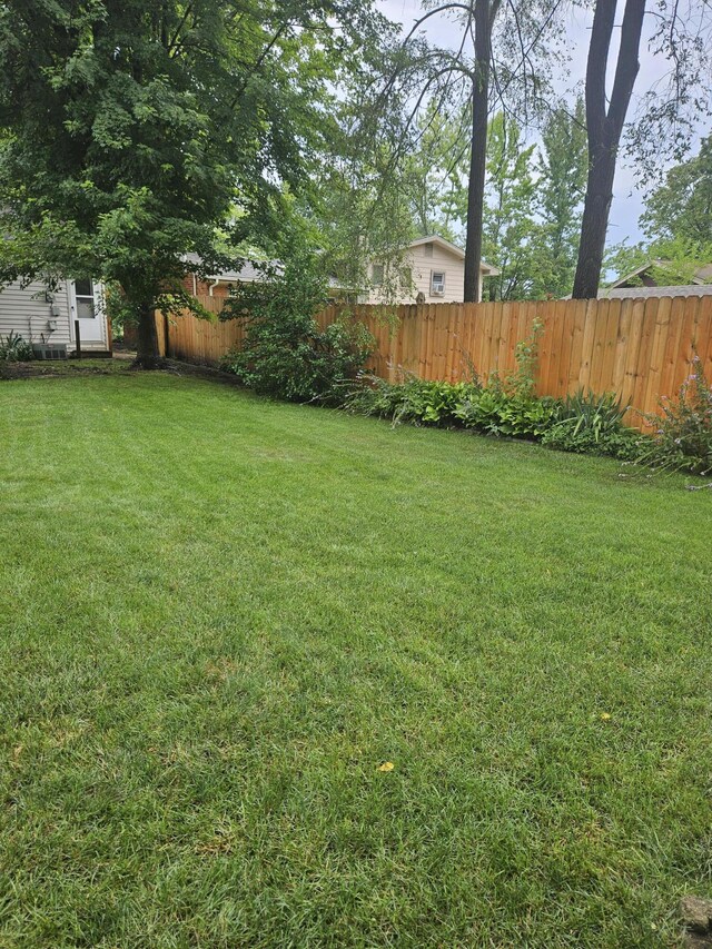 4810 Grandview Dr, Ypsilanti, MI 48197 - view of yard