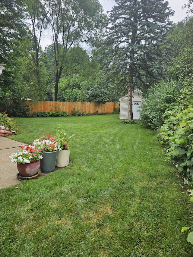 4810 Grandview Dr, Ypsilanti, MI 48197 - view of yard featuring a shed