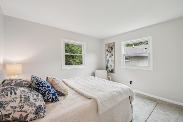 3110 Hilltop Dr, Ann Arbor, MI 48103 - bedroom featuring baseboards and carpet floors