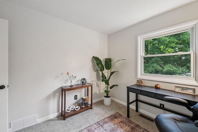 3110 Hilltop Dr, Ann Arbor, MI 48103 - carpeted home office featuring baseboards