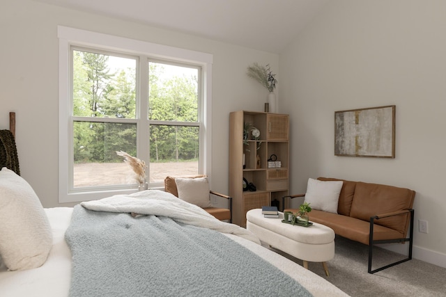 1717 Toscana St, Kalamazoo, MI 49009 - carpeted bedroom featuring lofted ceiling and baseboards