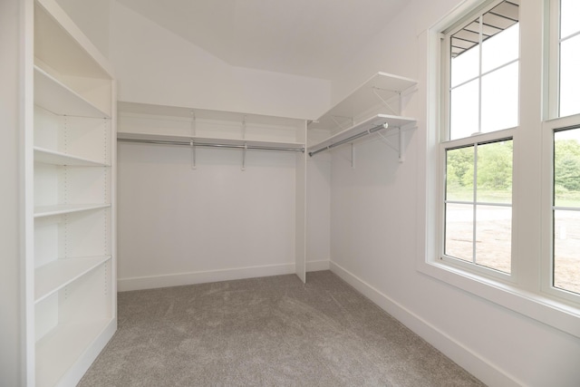 1717 Toscana St, Kalamazoo, MI 49009 - walk in closet featuring carpet