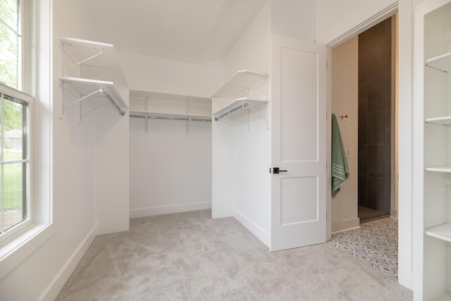 1717 Toscana St, Kalamazoo, MI 49009 - spacious closet featuring light carpet